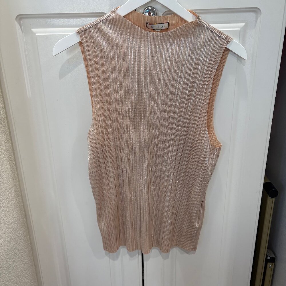NWOT Champagne metallic top